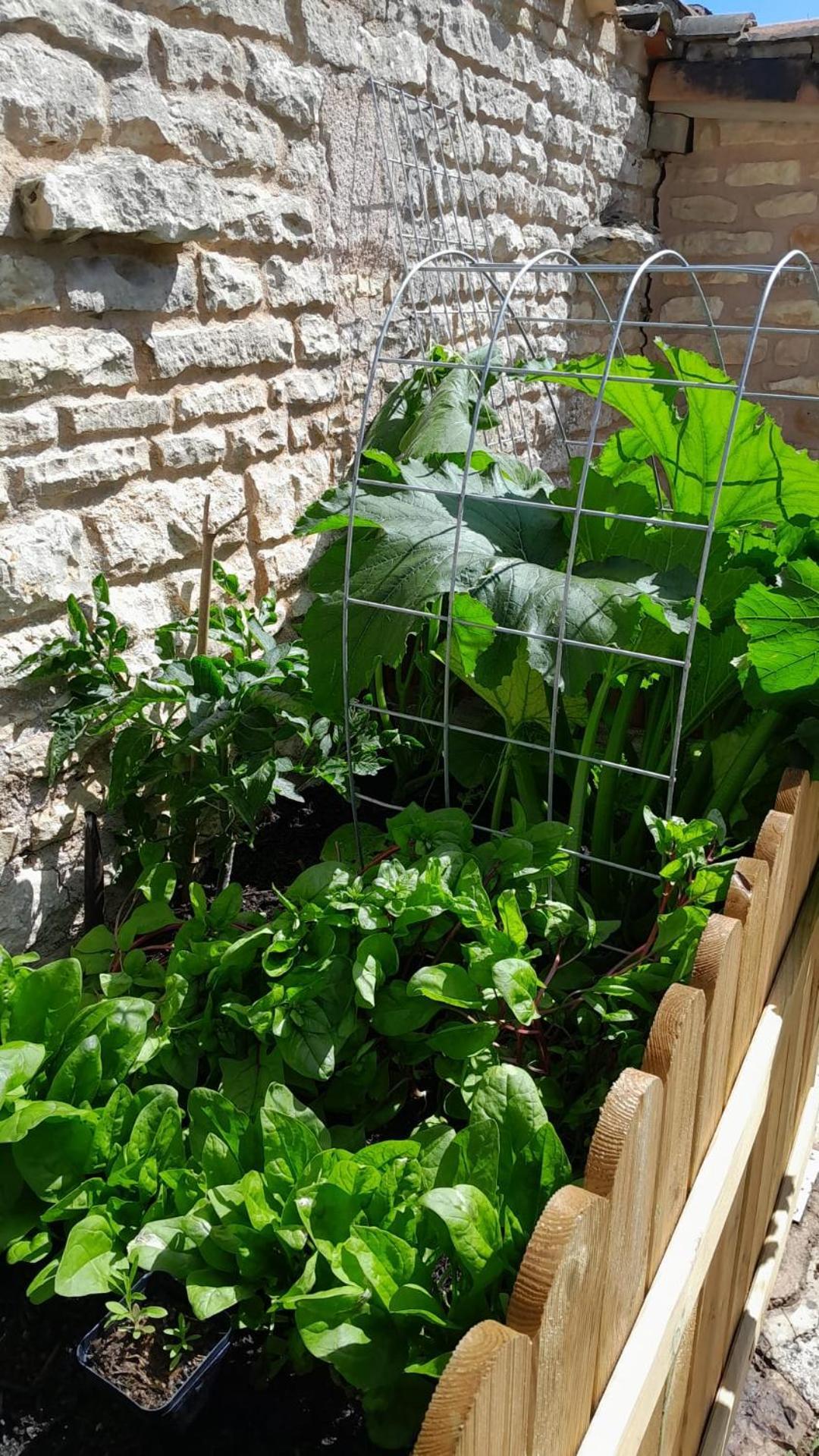 La Maison Du Petit Lac Messé Esterno foto