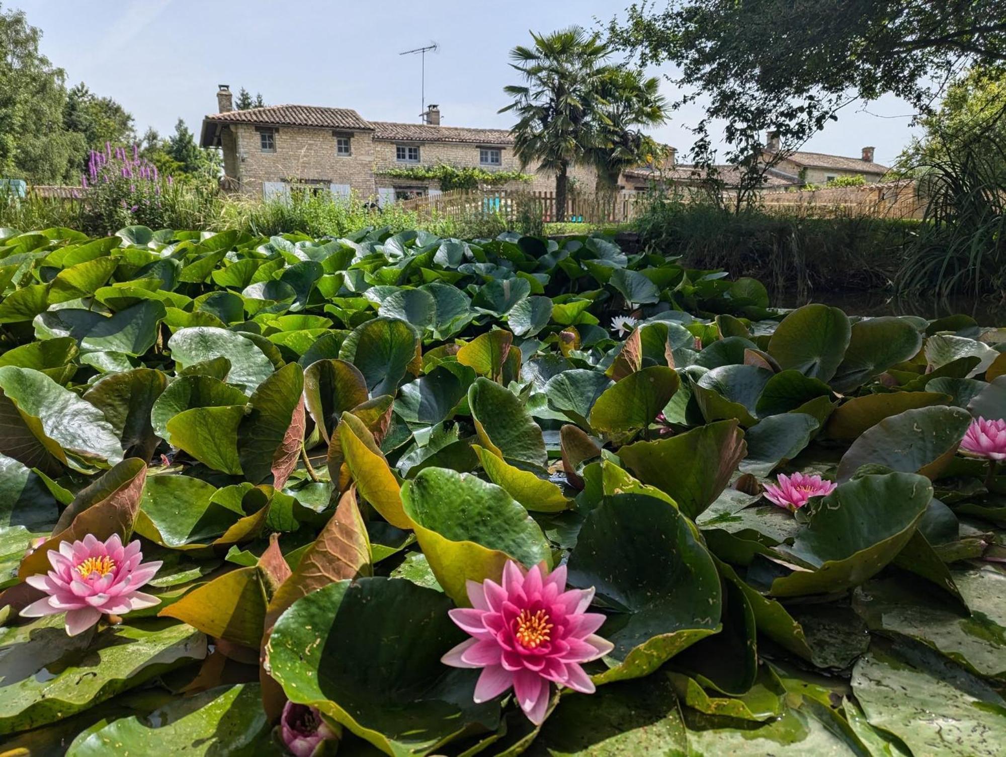 La Maison Du Petit Lac Messé Esterno foto